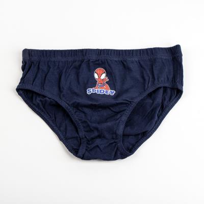 Boys 5 Pack Spidey And His Amazing Friends Briefs Gift Boxed Underwear Underpants