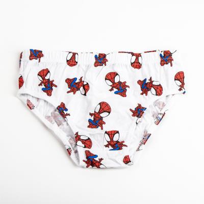 Boys 5 Pack Spidey And His Amazing Friends Briefs Gift Boxed Underwear Underpants