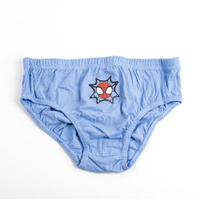 Boys 5 Pack Spidey And His Amazing Friends Briefs Gift Boxed Underwear Underpants