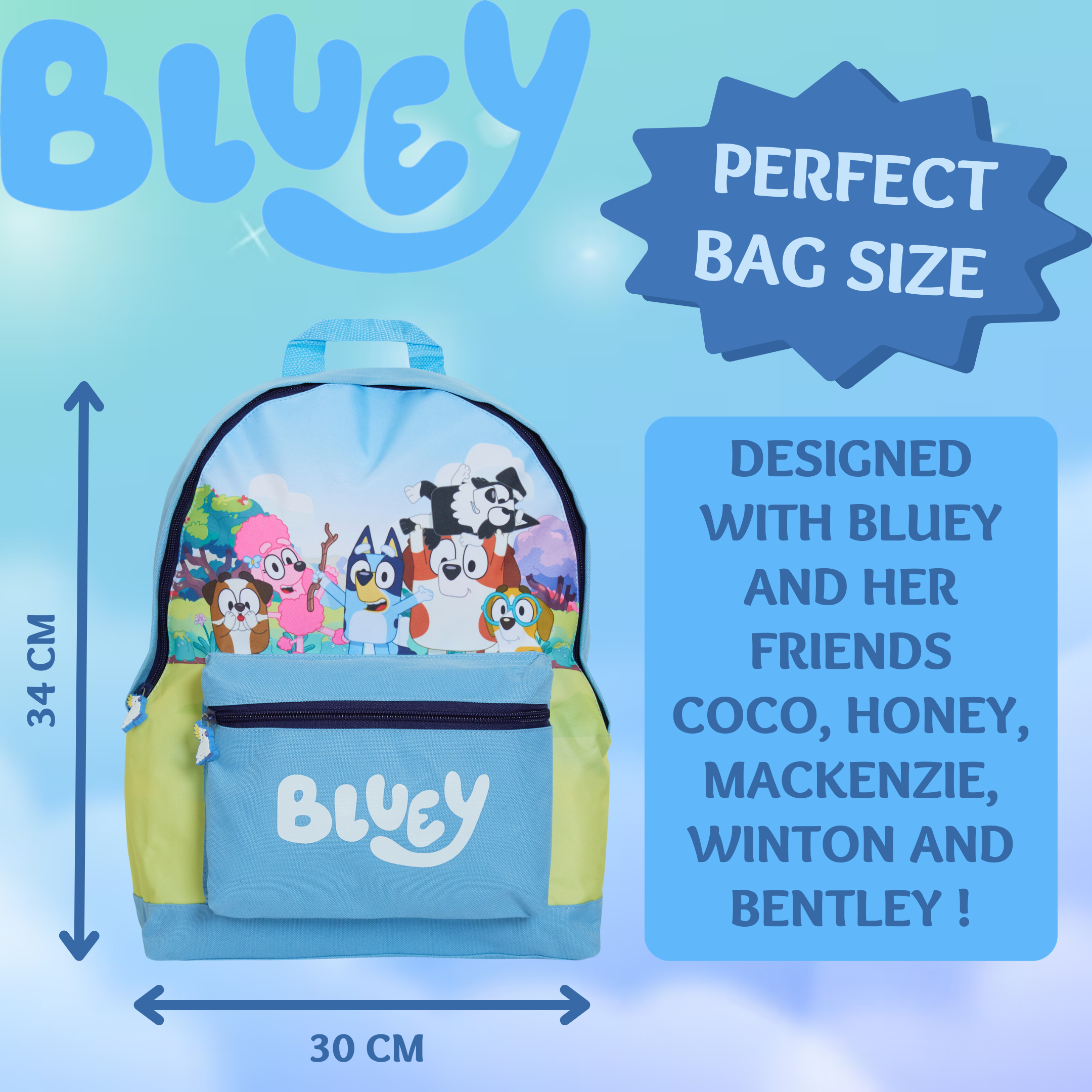 Bluey Backpack For Kids Boys Girls Nursery School Lunch Bag Puppy Dog Backpack