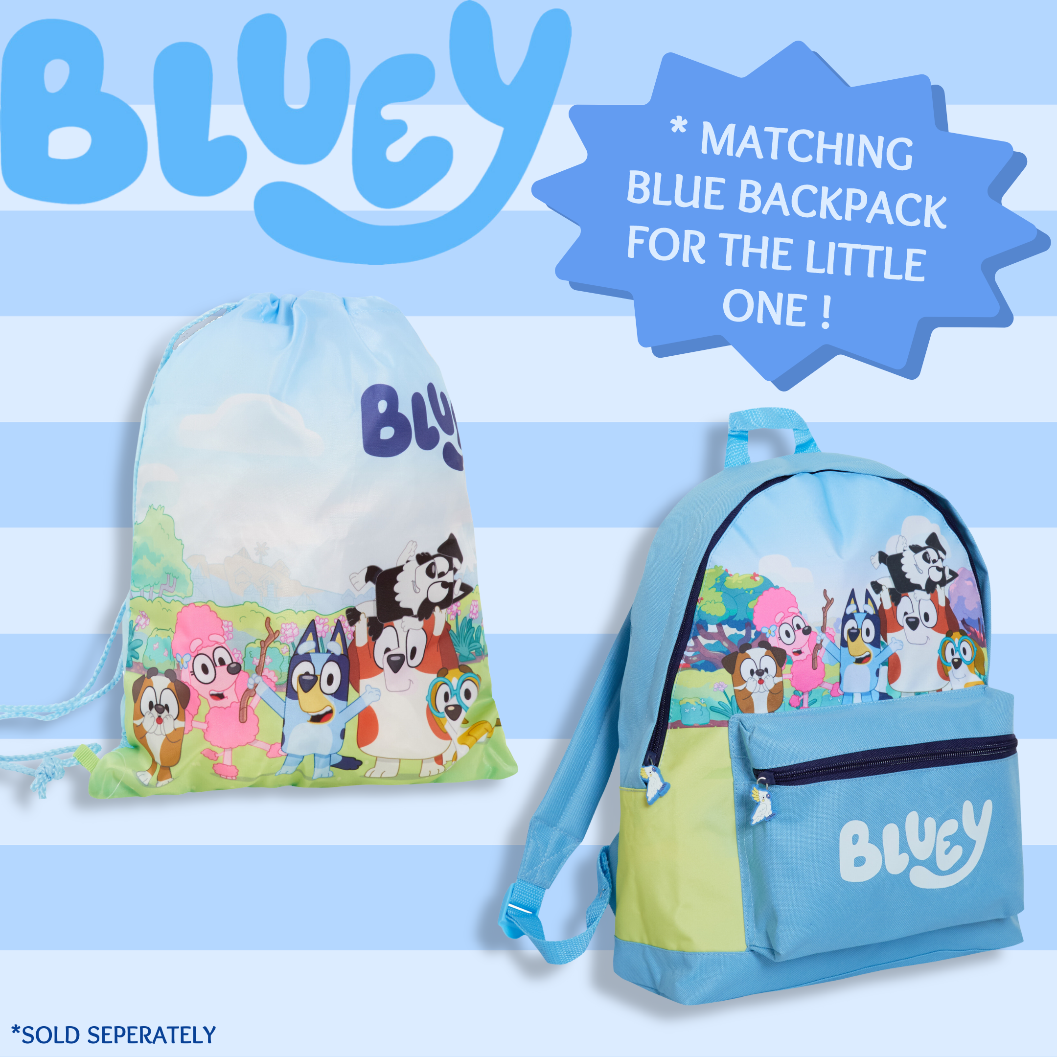 Bluey Backpack For Kids Boys Girls Nursery School Lunch Bag Puppy Dog Backpack