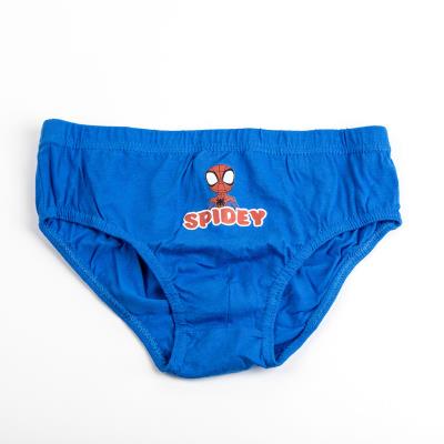 Boys 5 Pack Spidey And His Amazing Friends Briefs Gift Boxed Underwear Underpants