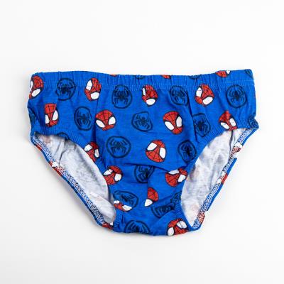 Boys 5 Pack Spidey And His Amazing Friends Briefs Gift Boxed Underwear Underpants