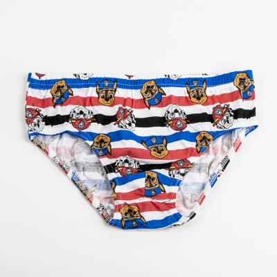 Boys 5 Pack Paw Patrol Kids Briefs Gift Boxed Underwear Chase Marshall Underpants