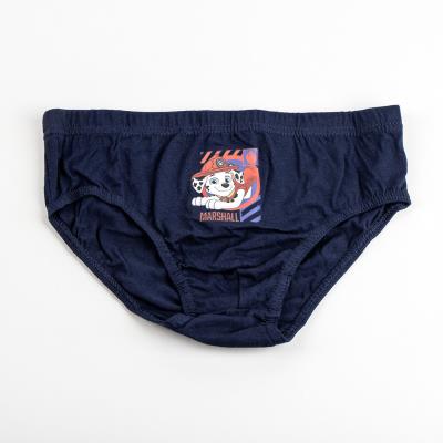 Boys 5 Pack Paw Patrol Kids Briefs Gift Boxed Underwear Chase Marshall Underpants