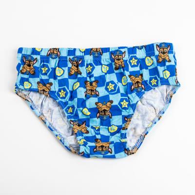 Boys 5 Pack Paw Patrol Kids Briefs Gift Boxed Underwear Chase Marshall Underpants