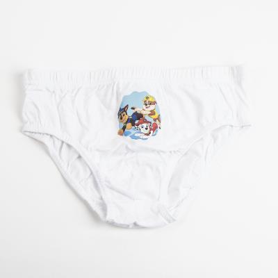 Boys 5 Pack Paw Patrol Kids Briefs Gift Boxed Underwear Chase Marshall Underpants