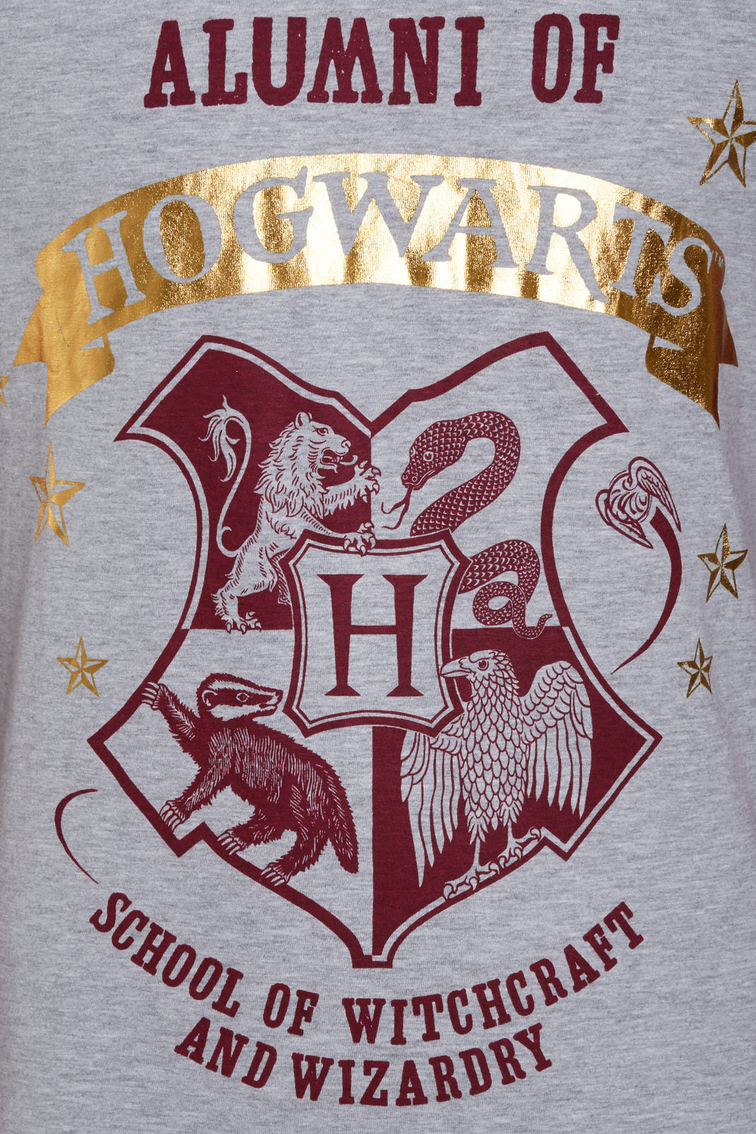 Mens Harry Potter Pyjamas Alumni Hogwarts PJs Gryffindor T-Shirt + Lounge Pants