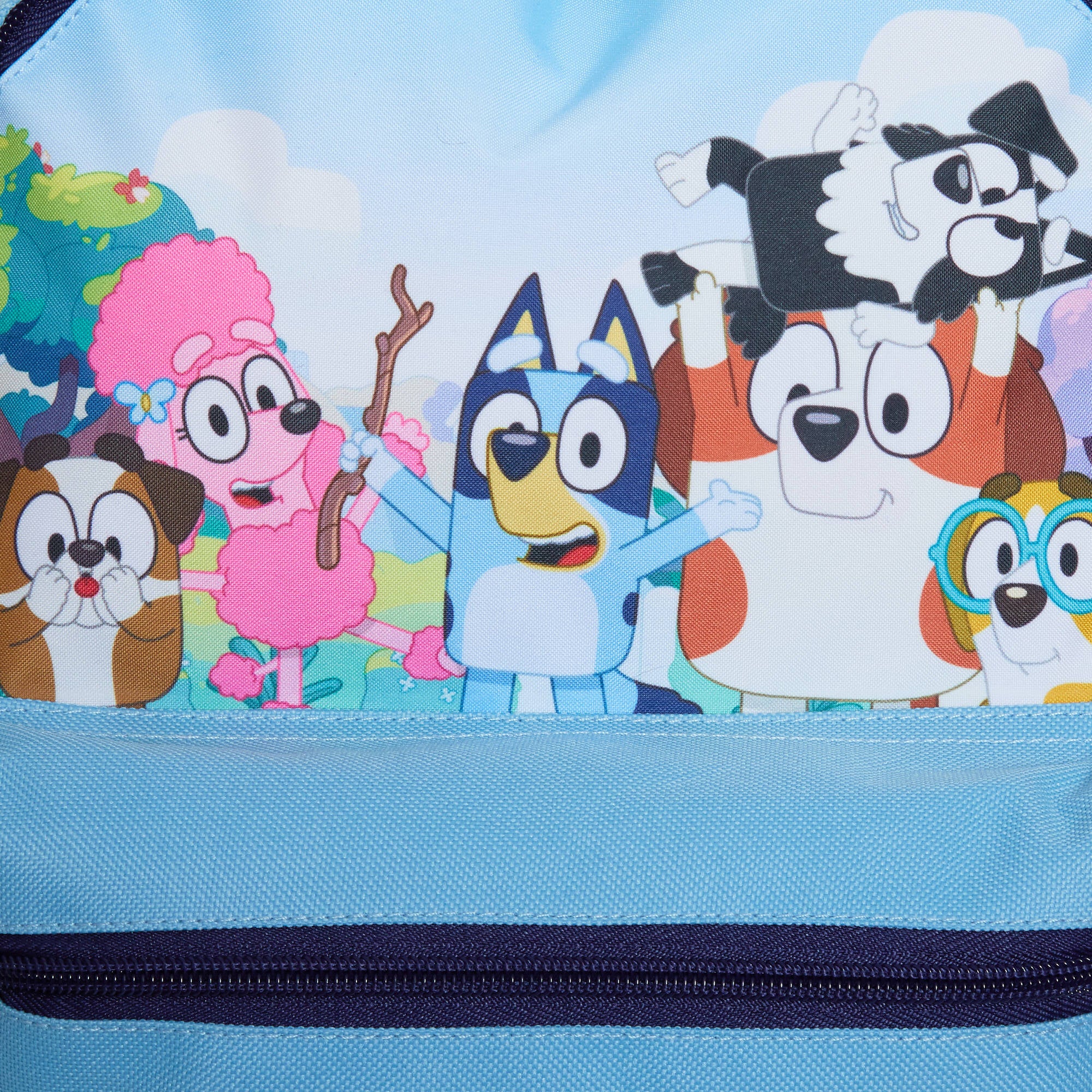 Bluey Backpack For Kids Boys Girls Nursery School Lunch Bag Puppy Dog Backpack