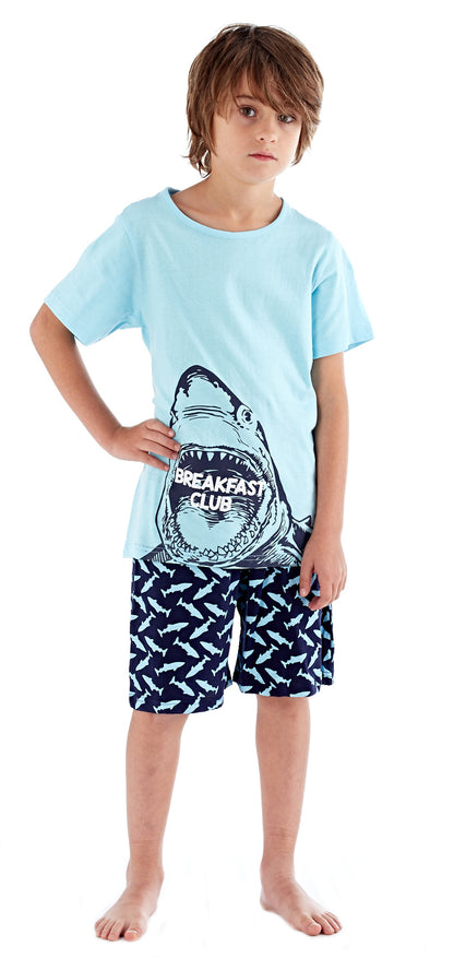 Boys Cotton Blend Character Pyjamas Kids Long Or Short Novelty Pjs Set