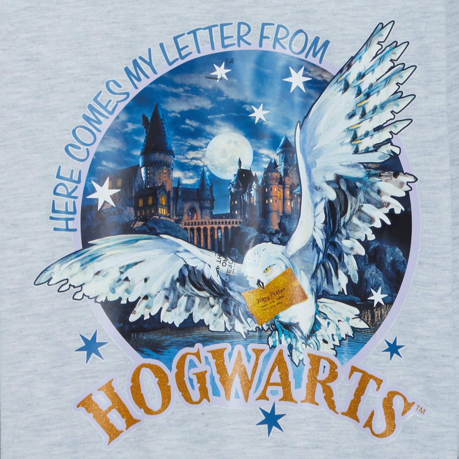 Girls Harry Potter Pyjamas Kids Hogwarts Letter Long Pjs Set Hedwig Nightwear