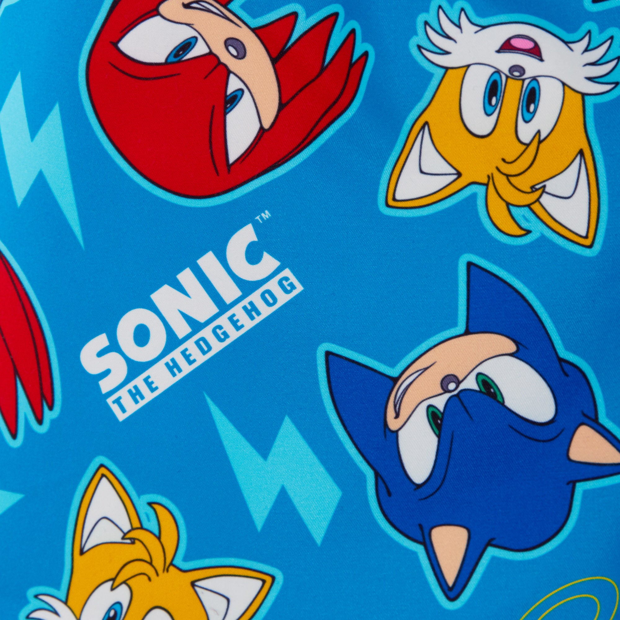 Boys Sonic The Hedgehog Swim Shorts Swimming Shorts Trunks Holiday Board Shorts