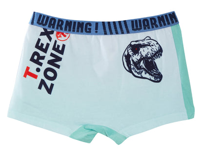 Jurassic World Boxer Shorts 2 Pack Boys Dinosaur Underwear Kids Briefs Trunks