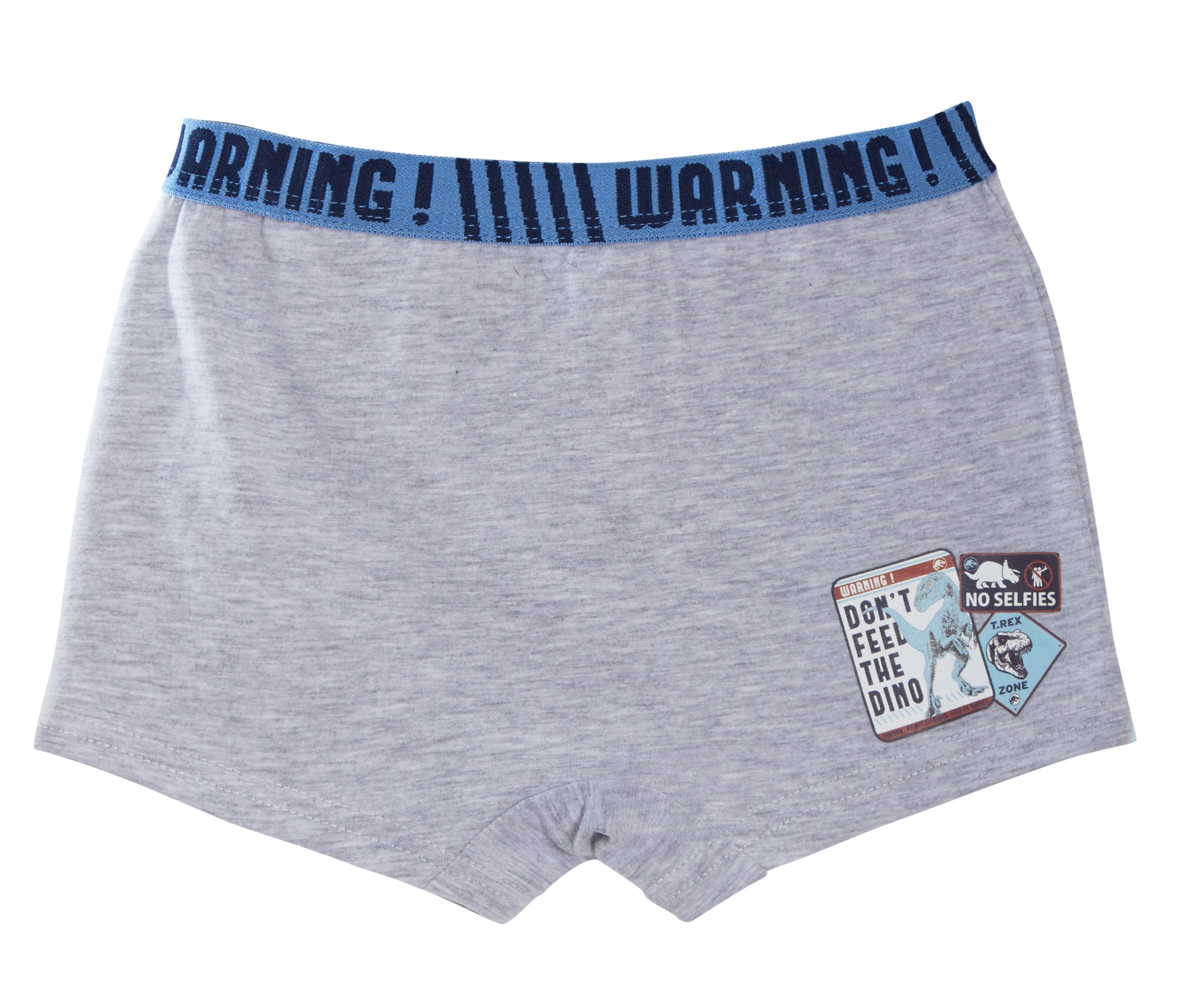 Jurassic World Boxer Shorts 2 Pack Boys Dinosaur Underwear Kids Briefs Trunks