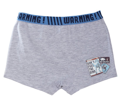 Jurassic World Boxer Shorts 2 Pack Boys Dinosaur Underwear Kids Briefs Trunks
