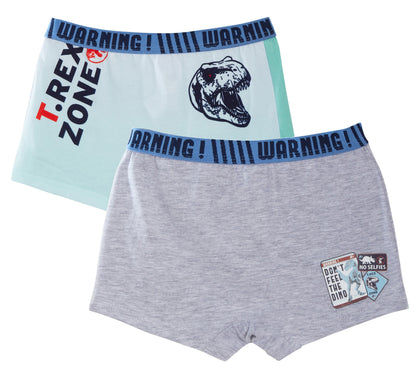Jurassic World Boxer Shorts 2 Pack Boys Dinosaur Underwear Kids Briefs Trunks