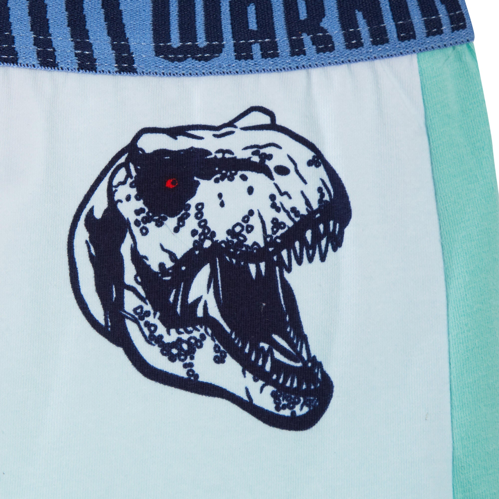 Jurassic World Boxer Shorts 2 Pack Boys Dinosaur Underwear Kids Briefs Trunks