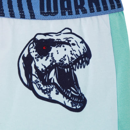 Jurassic World Boxer Shorts 2 Pack Boys Dinosaur Underwear Kids Briefs Trunks
