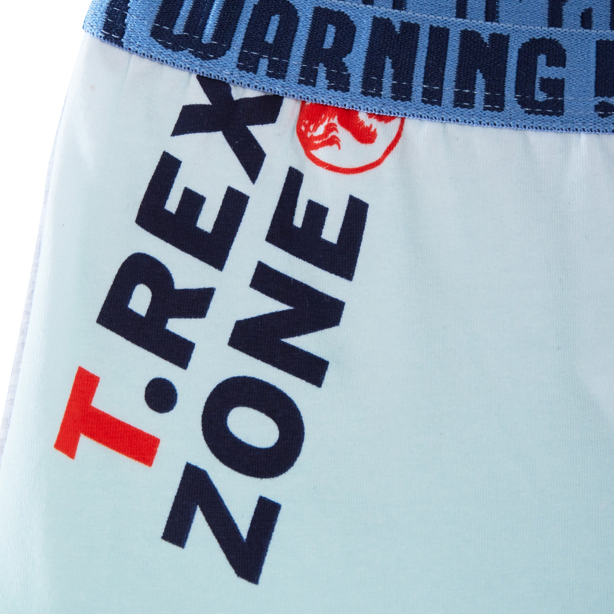 Jurassic World Boxer Shorts 2 Pack Boys Dinosaur Underwear Kids Briefs Trunks