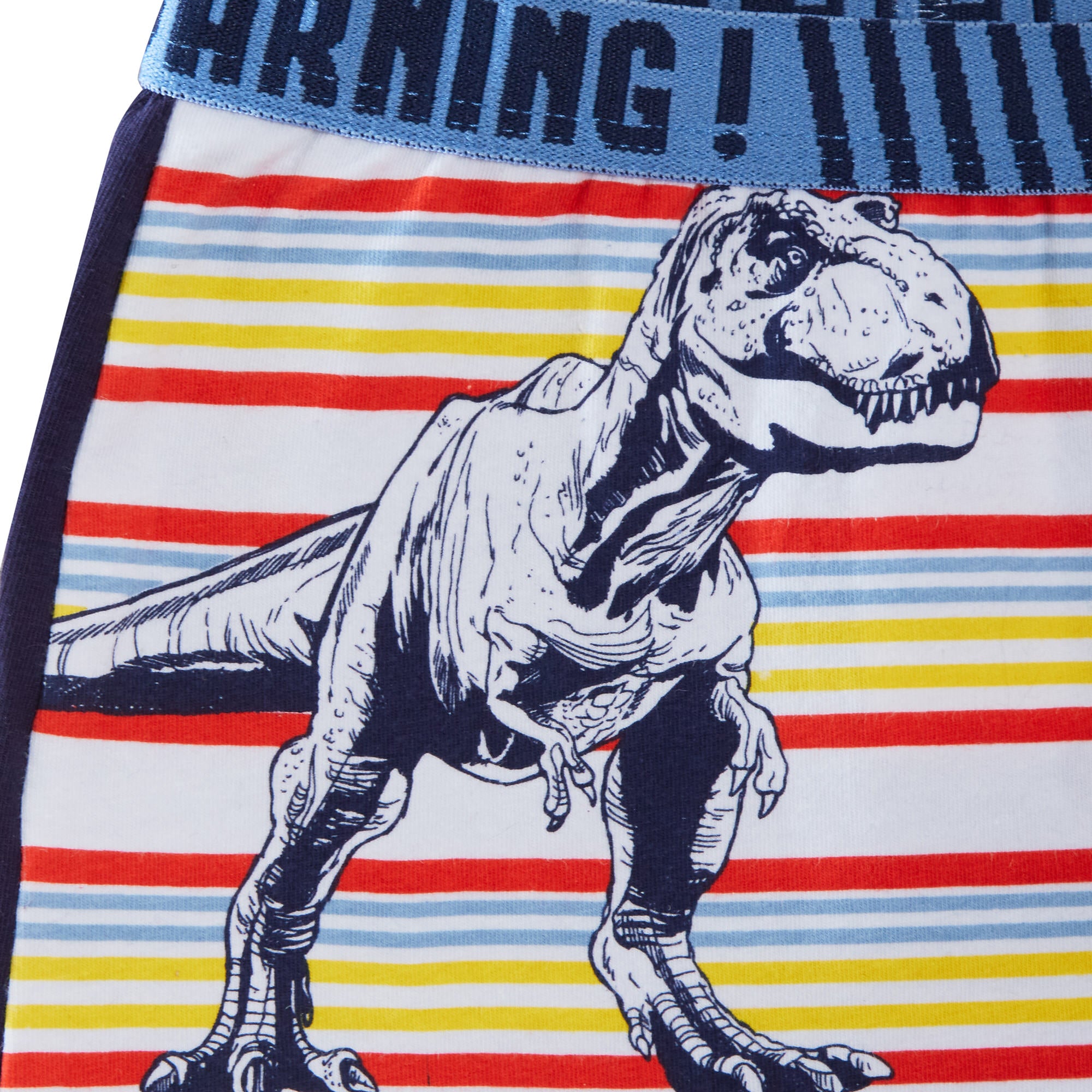 Jurassic World Boxer Shorts 2 Pack Boys Dinosaur Underwear Kids Briefs Trunks